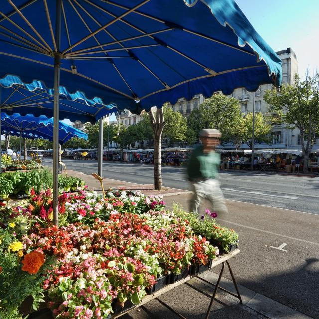 Marché de fleurs dans le quartier Castellane