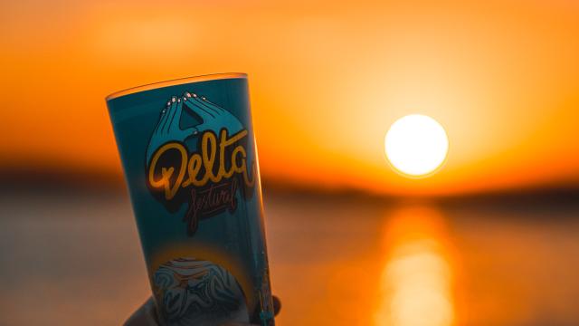 ecocup delta festival et sunset
