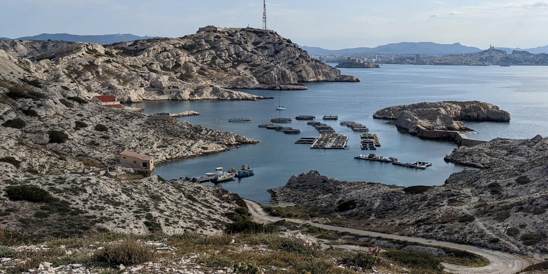 ferme aquacole au FRioul