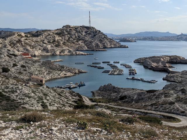 Point d'observation aux iles du frioul