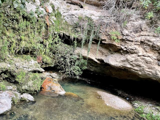 Cascade des Aygalades