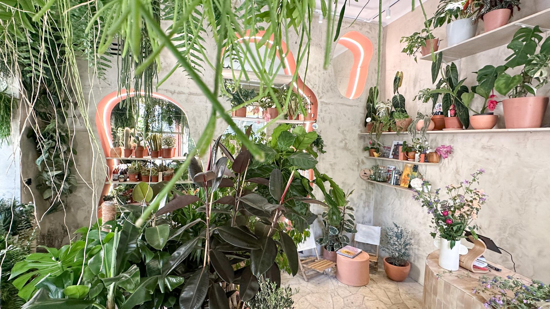 Les fleuristes à découvrir à Marseille Office de Tourisme de Marseille