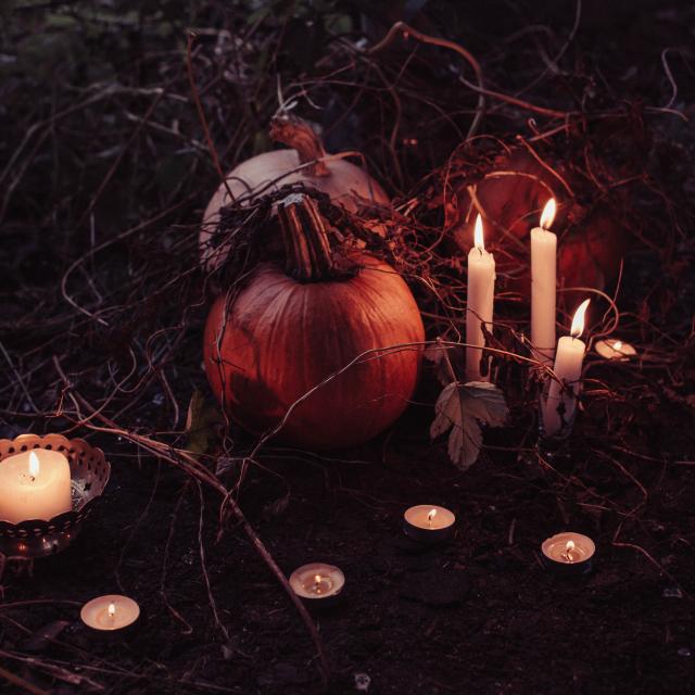 Halloween Freestocks Unsplash