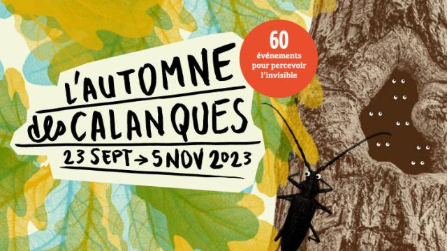Autumn Calanques 2023 Pnc