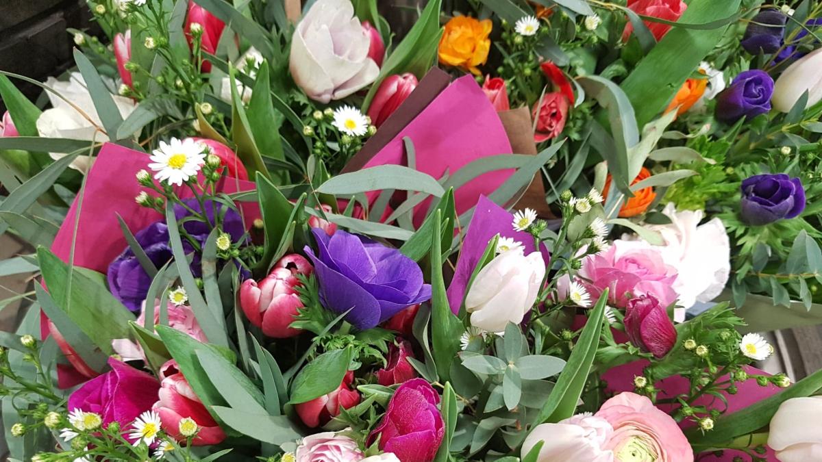 Les fleuristes à découvrir à Marseille Office de Tourisme de Marseille