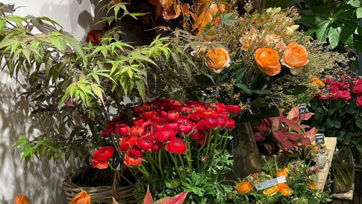 Les fleuristes à découvrir à Marseille Office de Tourisme de Marseille