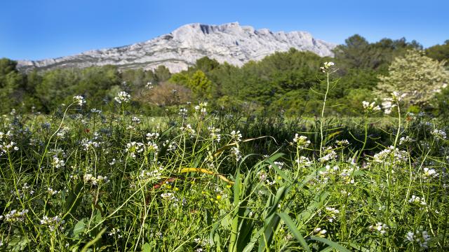 Montagne Sainte Victoire