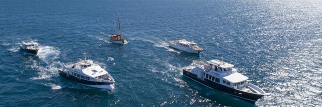 Vue aérienne de la flotte de navires de la compagnie Icard Maritime