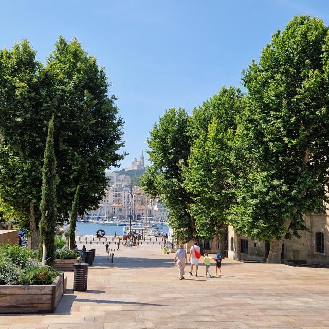 Family And Couple View Ndg And Old Port From Espace Bargemon Mel Otlcm 100