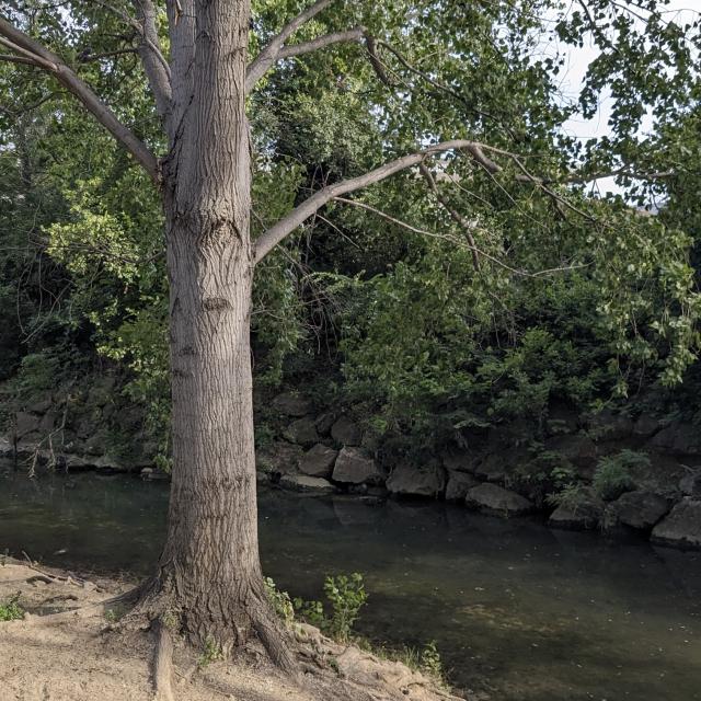 Bord de L'huveaune à marseille