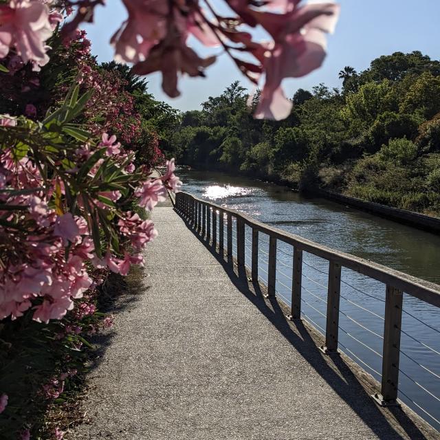 Bord De Lhuveaune Primavera 6hkotlcm