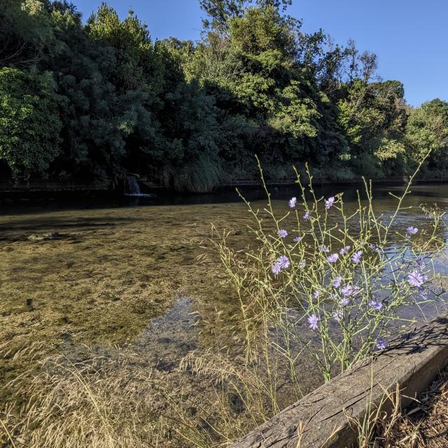 Bord De Lhuveaune Primavera 9hkotlcm