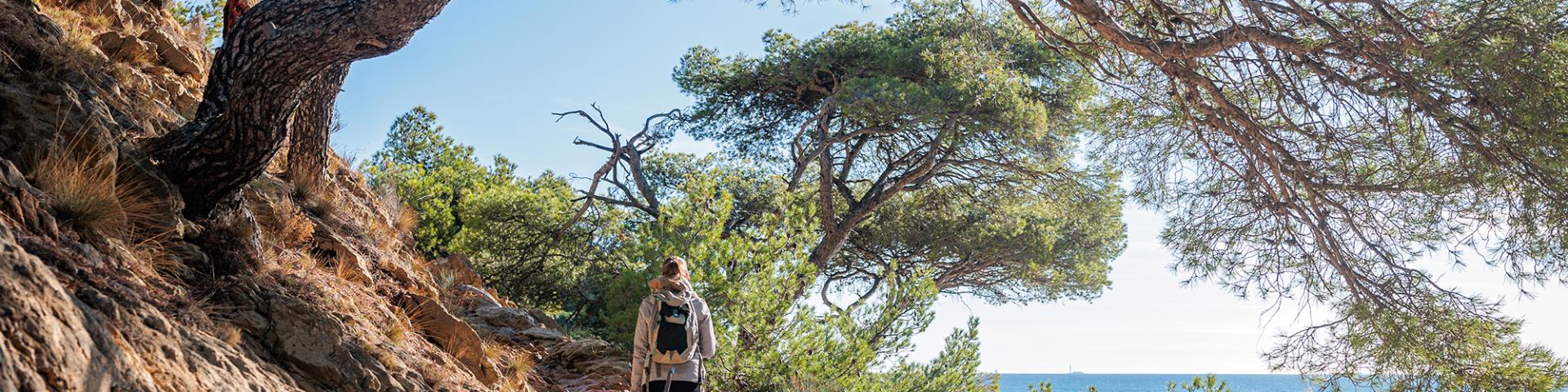 Nature sur le littoral de l'Estaque à Marseille