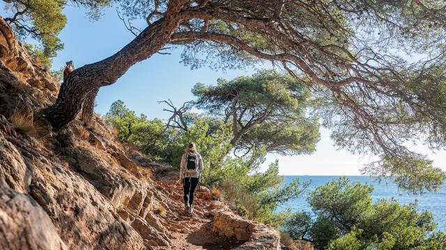 Nature sur le littoral de l'Estaque à Marseille