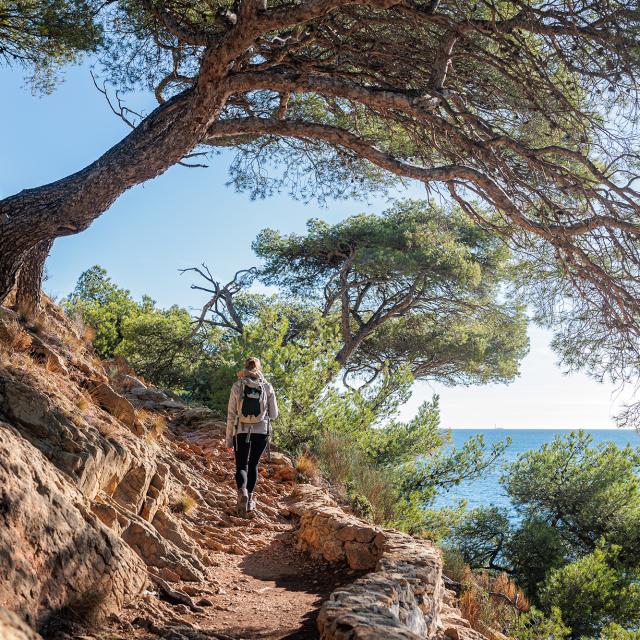 Nature sur le littoral de l'Estaque à Marseille