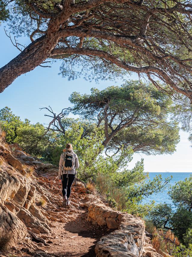 Nature sur le littoral de l'Estaque à Marseille