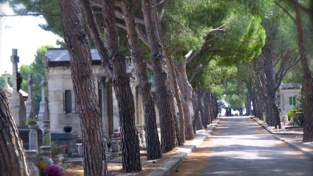 Allée dans le Cimetière Saint-Pierre à Marseille